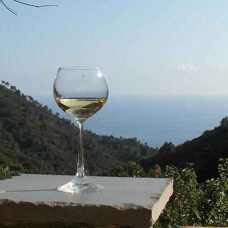 Agriturismo Costa Di Campo Вернаца Екстериор снимка