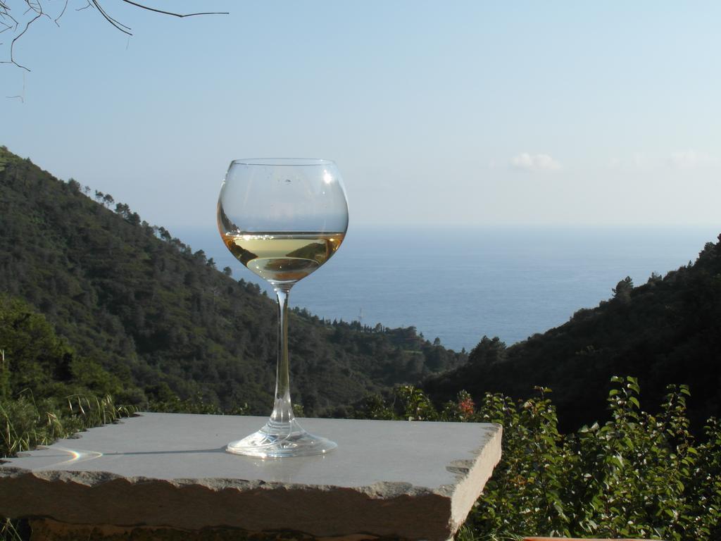 Agriturismo Costa Di Campo Вернаца Екстериор снимка