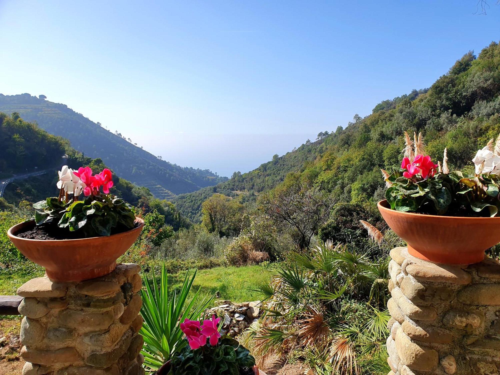 Agriturismo Costa Di Campo Вернаца Екстериор снимка