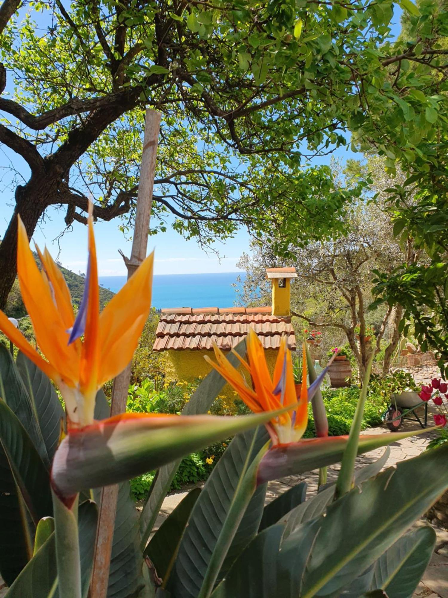 Agriturismo Costa Di Campo Вернаца Екстериор снимка