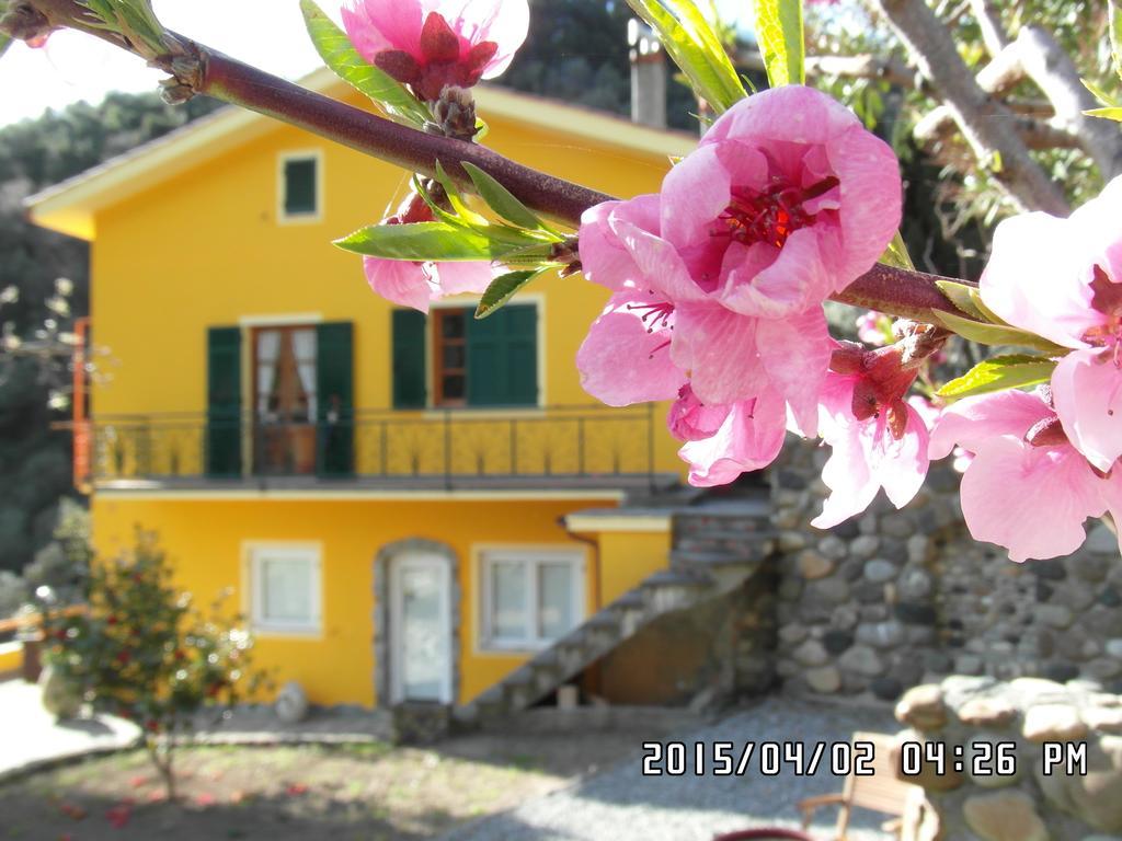 Agriturismo Costa Di Campo Вернаца Екстериор снимка