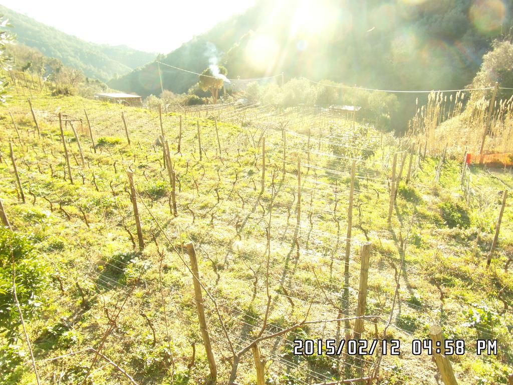 Agriturismo Costa Di Campo Вернаца Екстериор снимка