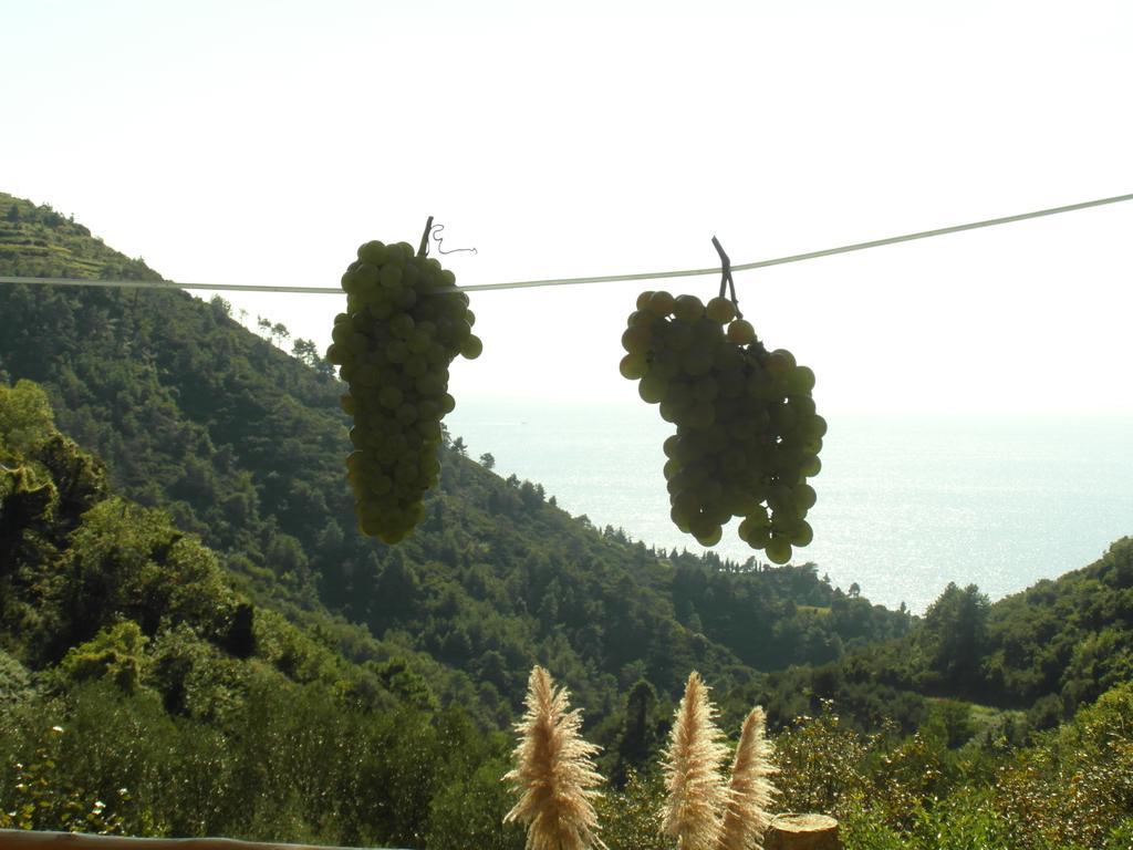 Agriturismo Costa Di Campo Вернаца Екстериор снимка