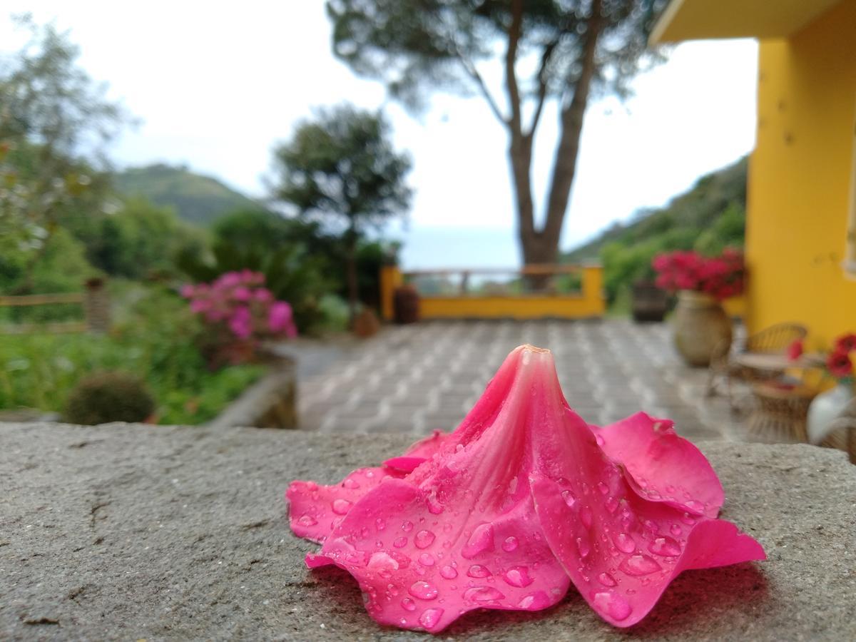 Agriturismo Costa Di Campo Вернаца Екстериор снимка