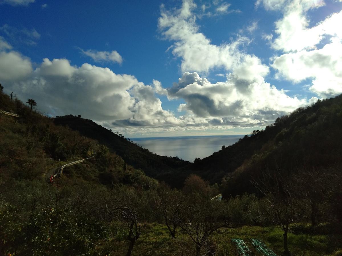 Agriturismo Costa Di Campo Вернаца Екстериор снимка