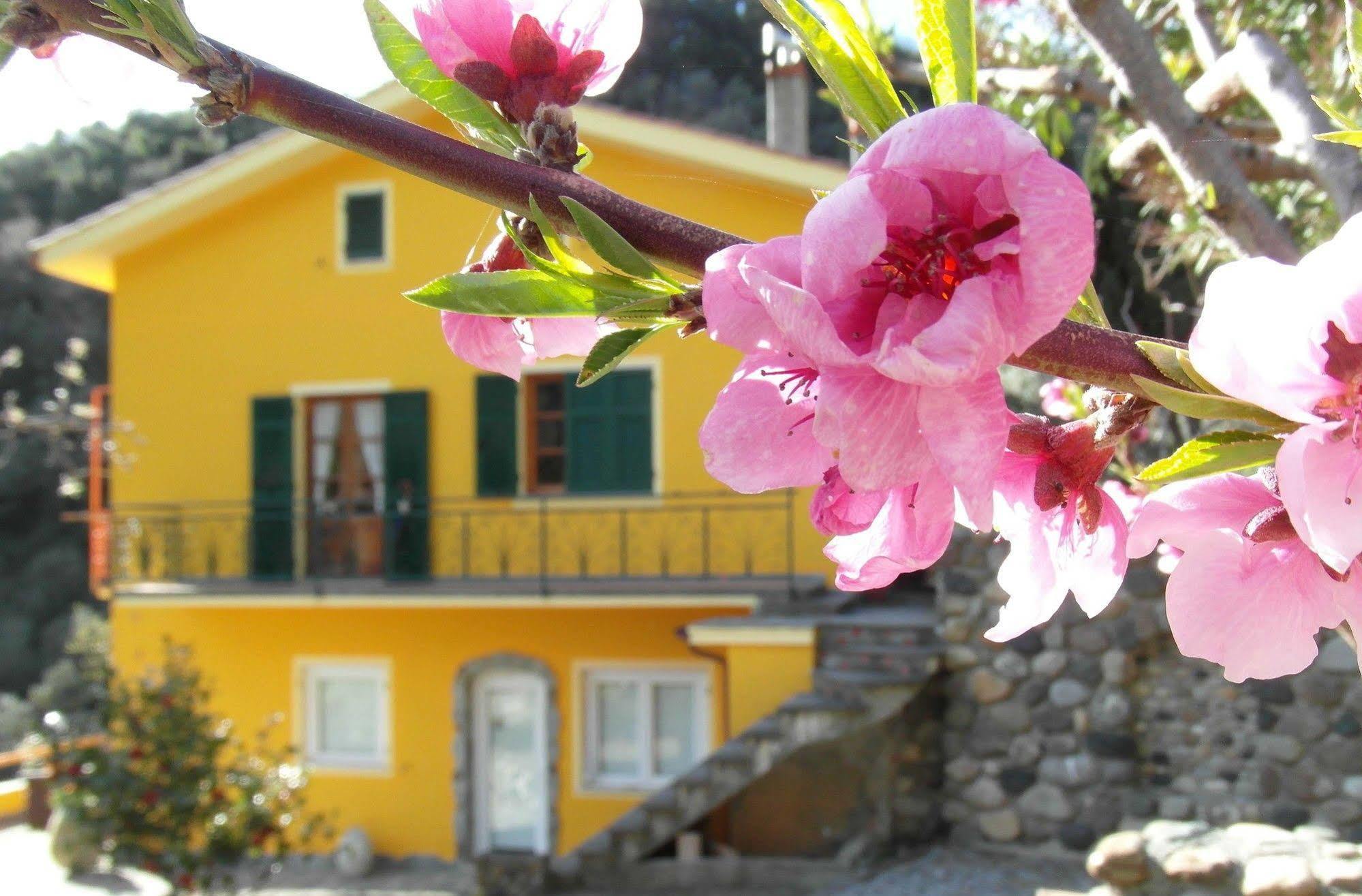 Agriturismo Costa Di Campo Вернаца Екстериор снимка