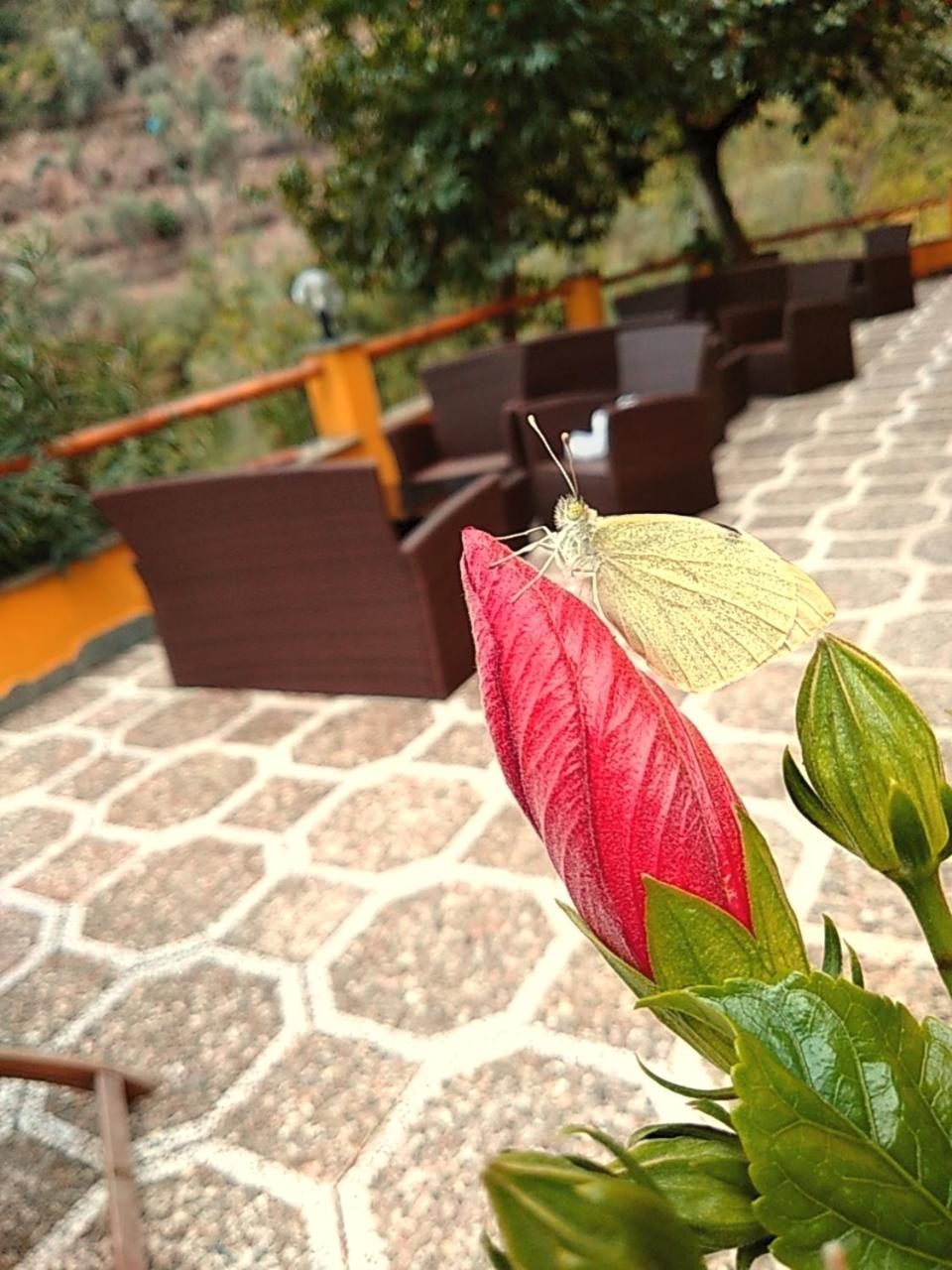 Agriturismo Costa Di Campo Вернаца Екстериор снимка