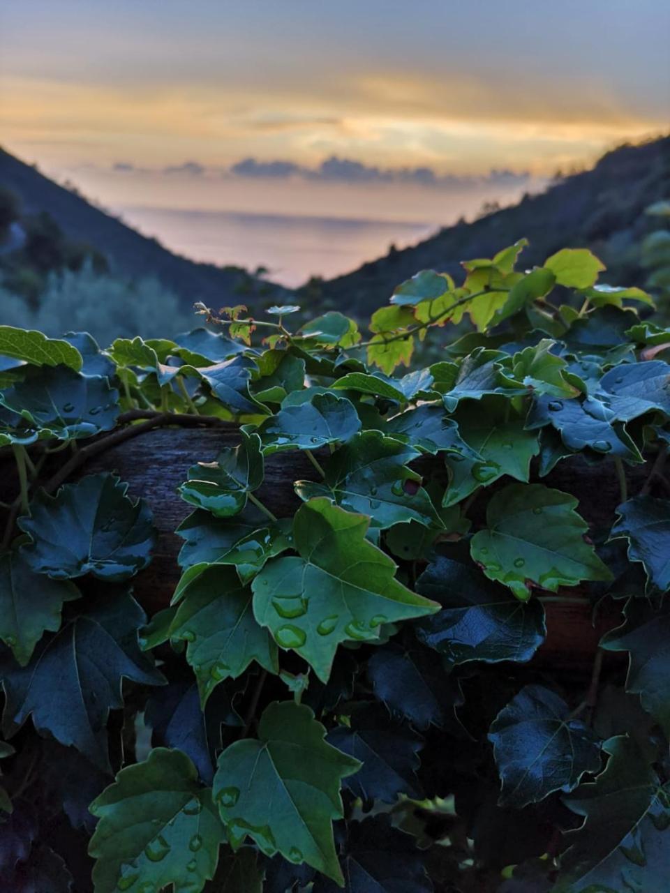 Agriturismo Costa Di Campo Вернаца Екстериор снимка