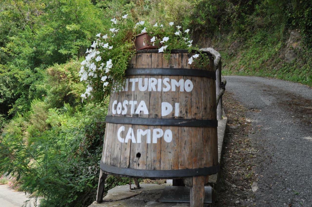 Agriturismo Costa Di Campo Вернаца Екстериор снимка